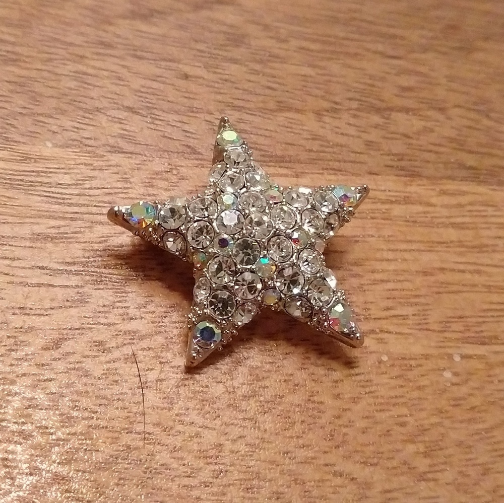 Star Pin/Brooch